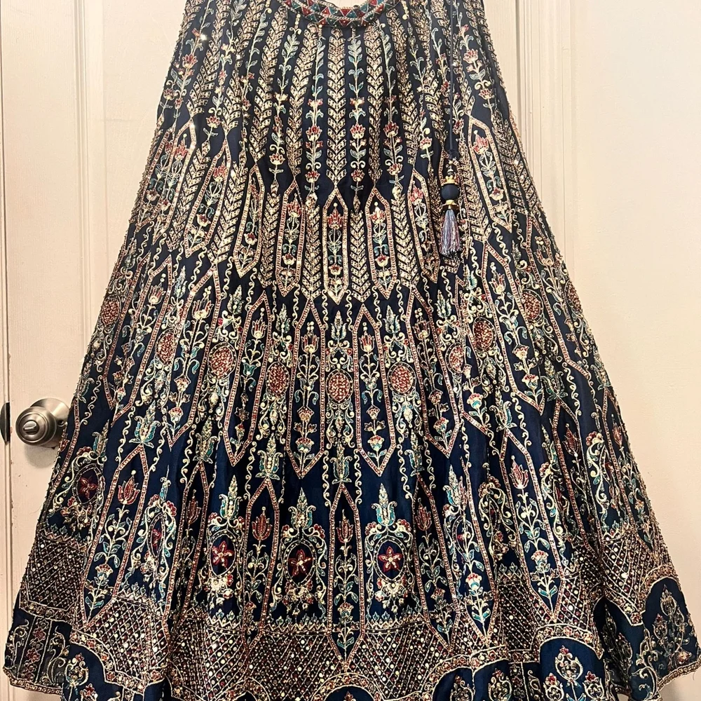 Desi Dress/ Gown/ Lehenga - Picture 5 of 9
